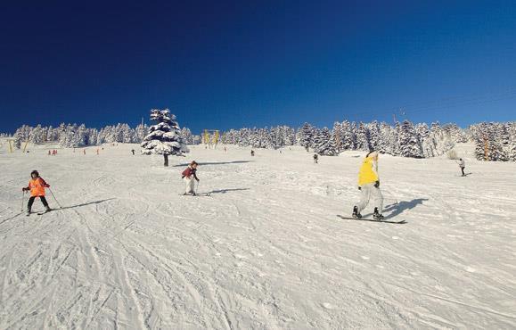 Alkoclar Chalet Hotel Bursa Dış mekan fotoğraf